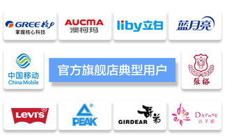 臺州飛速網絡 一站式網站建設、淘寶代運營與優化服務專家